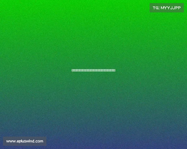 观众人数突破历史新高赛事盛况空前观众热情激增见证精彩时刻